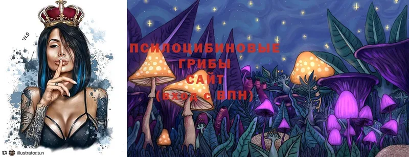 Псилоцибиновые грибы Psilocybine cubensis  Зеленоградск 